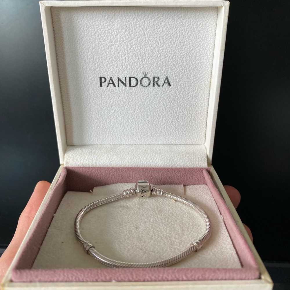 Pandora snake chain bracelet